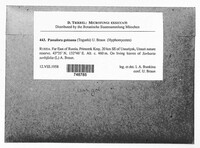 Image Associated With the Occurrence